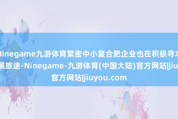 Ninegame九游体育繁密中小复合肥企业也在积极寻求各异化发展旅途-Ninegame-九游体育(中国大陆)官方网站|jiuyou.com