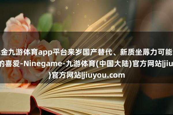 现金九游体育app平台来岁国产替代、新质坐蓐力可能会受到空前的喜爱-Ninegame-九游体育(中国大陆)官方网站|jiuyou.com